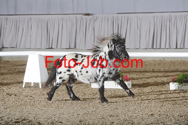 Preview ZTS_3996.jpg